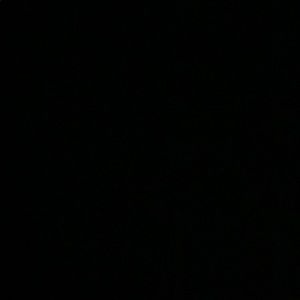 Meet your Posher, Wesley